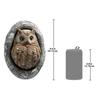 Design Toscano Octavius Knothole Owl Tree Sculpture QM2734400